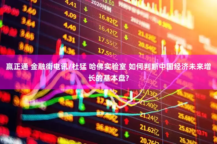 赢正通 金融街电讯/杜猛 哈佛实验室 如何判断中国经济未来增长的基本盘?