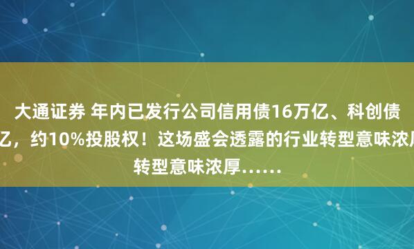 大通证券 年内已发行公司信用债16万亿、科创债1.8万亿,约10%投股权!这场盛会透露的行业转型意味浓厚……
