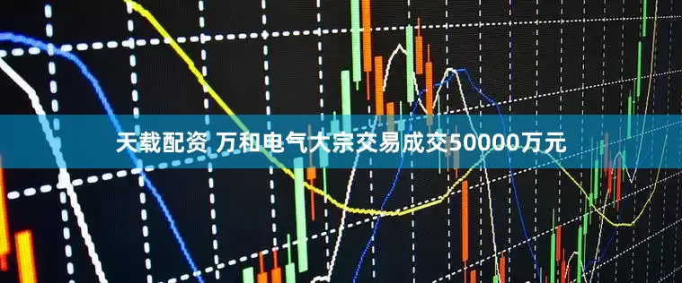 天载配资 万和电气大宗交易成交50000万元