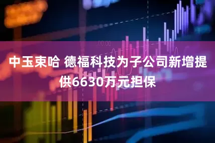 中玉束哈 德福科技为子公司新增提供6630万元担保