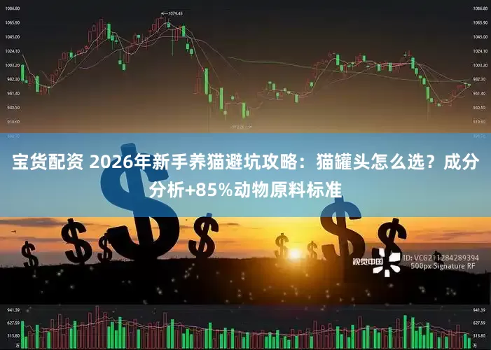 宝货配资 2026年新手养猫避坑攻略：猫罐头怎么选？成分分析+85%动物原料标准