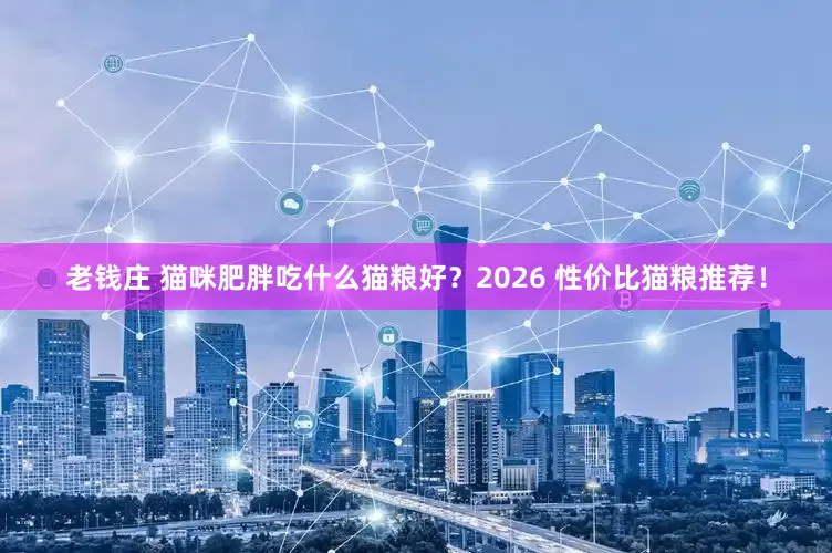老钱庄 猫咪肥胖吃什么猫粮好？2026 性价比猫粮推荐！