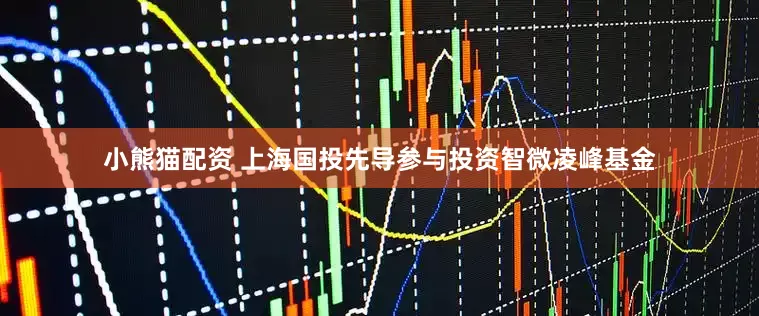 小熊猫配资 上海国投先导参与投资智微凌峰基金