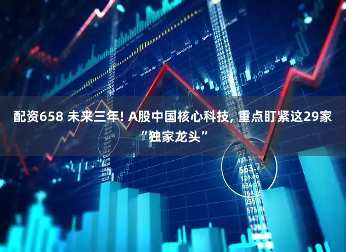 配资658 未来三年! A股中国核心科技, 重点盯紧这29家“独家龙头”